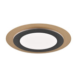 Morgan LED Remote Control Ceiling Light – Black & Gold