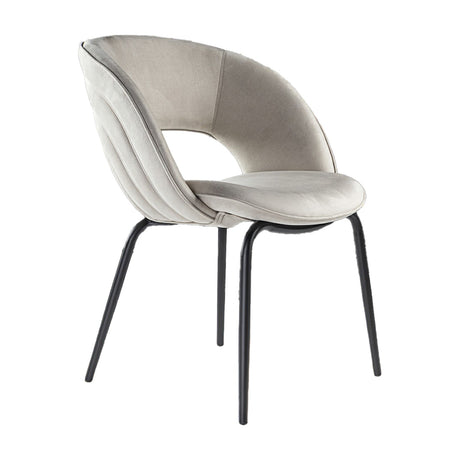 Nim Dining Chair - Stone and Black