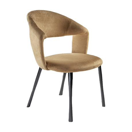 Willy Dining Chair - Black