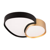 Rise 43.5cm LED Remote Control Ceiling Light – Black & Gold