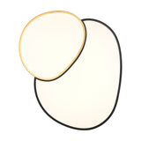Rise 77cm LED Remote Control Ceiling Light – Black & Gold
