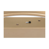 Darvin 2 Light LED Circular Ceiling Light – Gold
