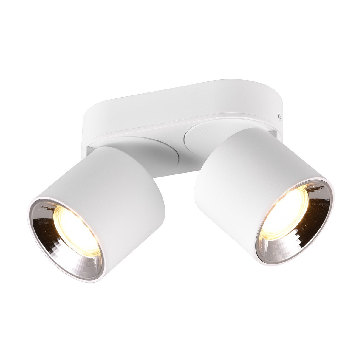 Guayana 2 Light Ceiling Light – Matt White