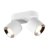 Guayana 2 Light Ceiling Light – Matt White