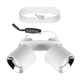 Guayana 2 Light Ceiling Light – Matt White