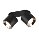 Guayana 2 Light Ceiling Light – Matt Black