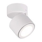 Taurus LED Glass Ceiling Light – Matt White