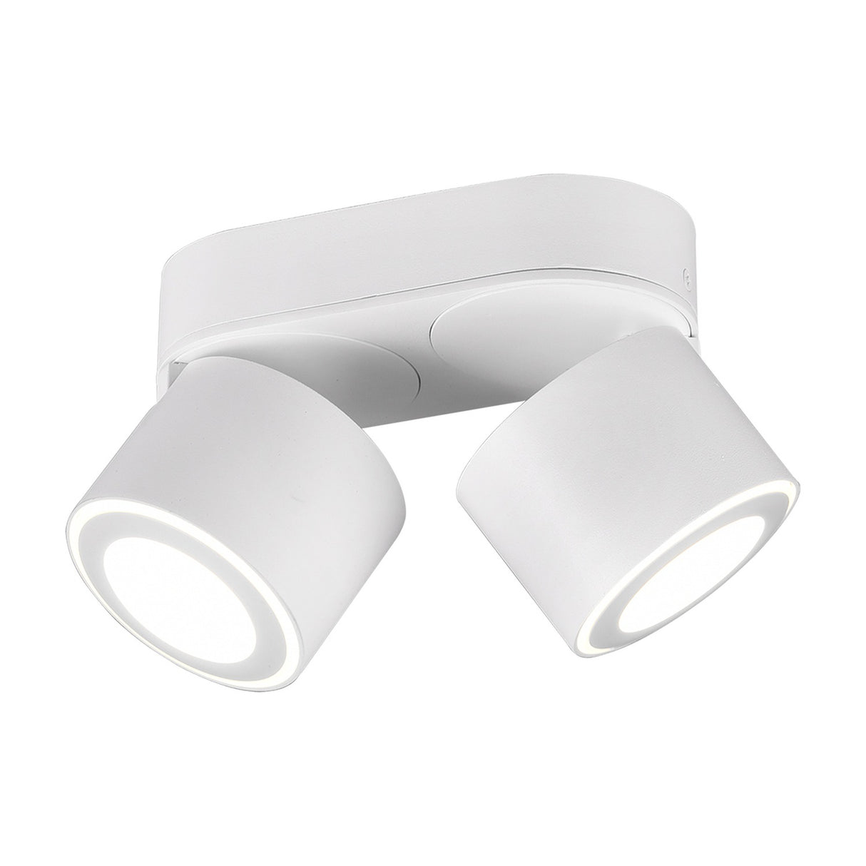 Taurus 2 Light LED Circular Ceiling Light – Matt White