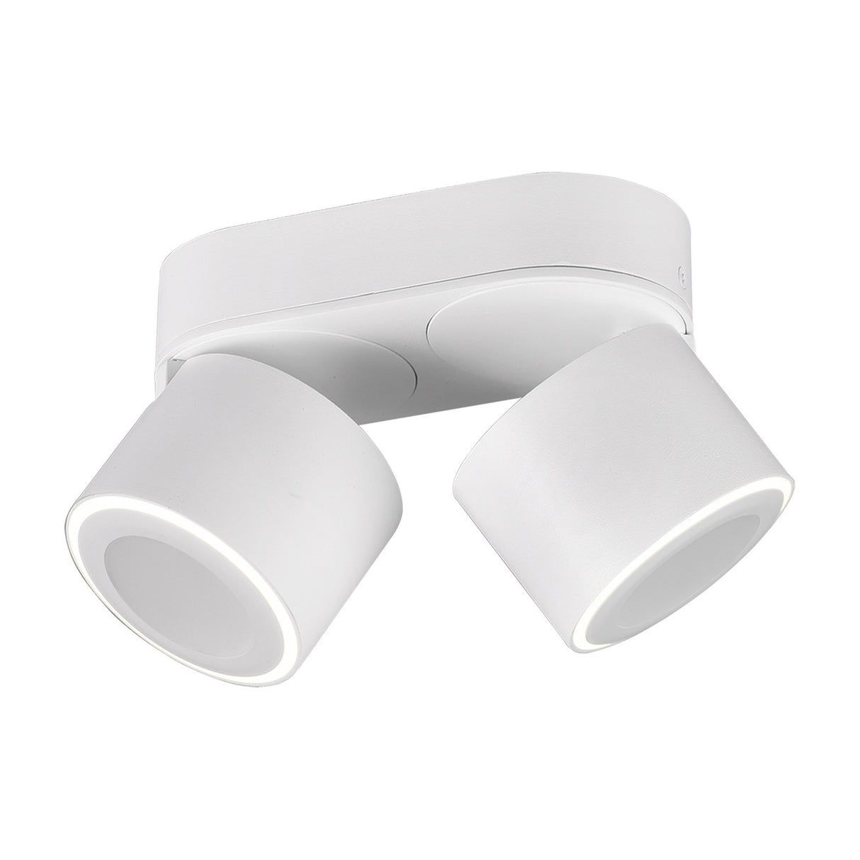 Taurus 2 Light LED Circular Ceiling Light – Matt White