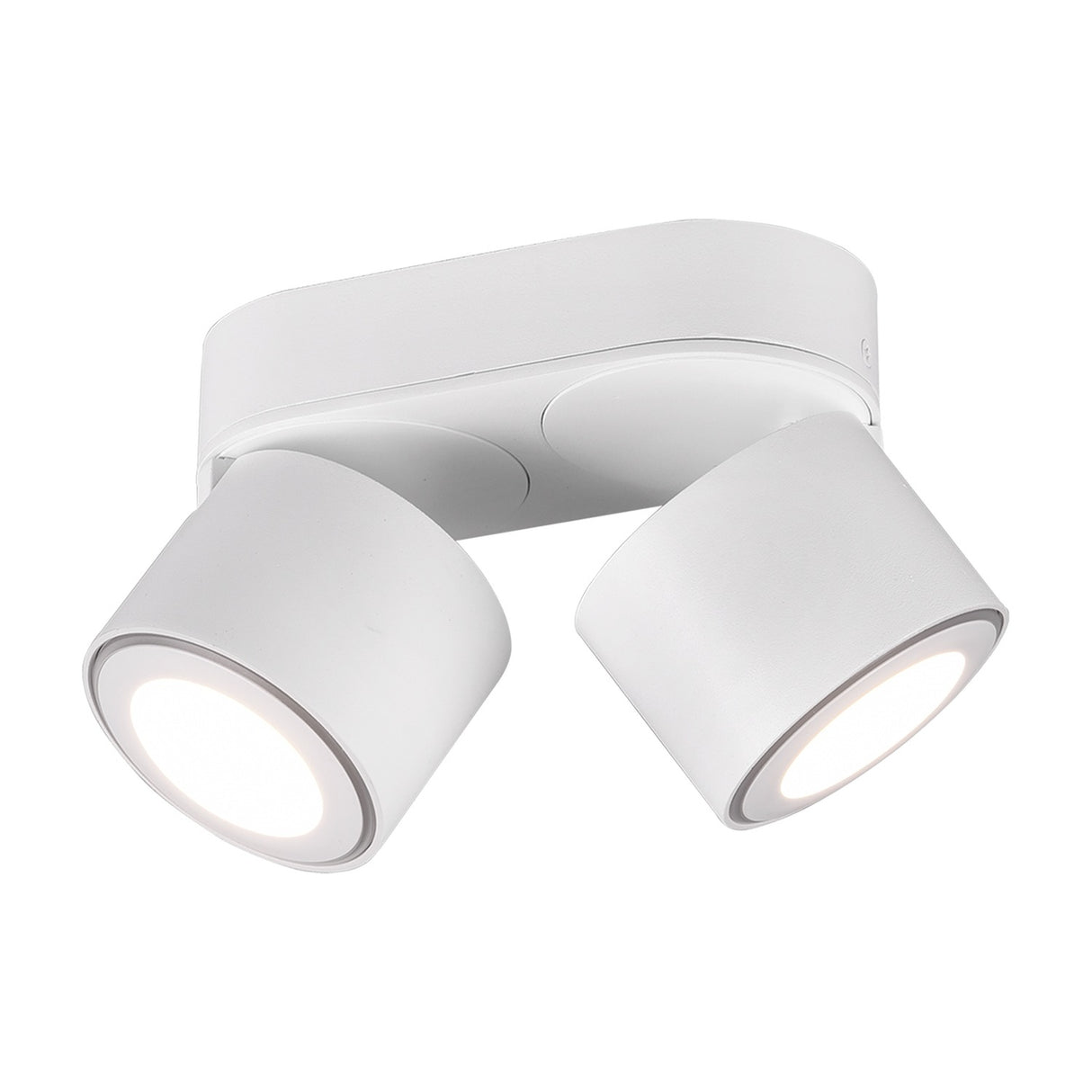 Taurus 2 Light LED Circular Ceiling Light – Matt White