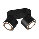 Taurus 2 Light LED Glass Ceiling Light – Matt Black
