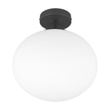Fomento Glass Ceiling Light – Matt Black