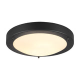Condus Glass Ceiling Light – Matt Black