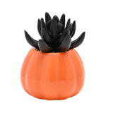 Jack-O'-Lantern Pumpkin Succulent Ceramic Planter - Orange