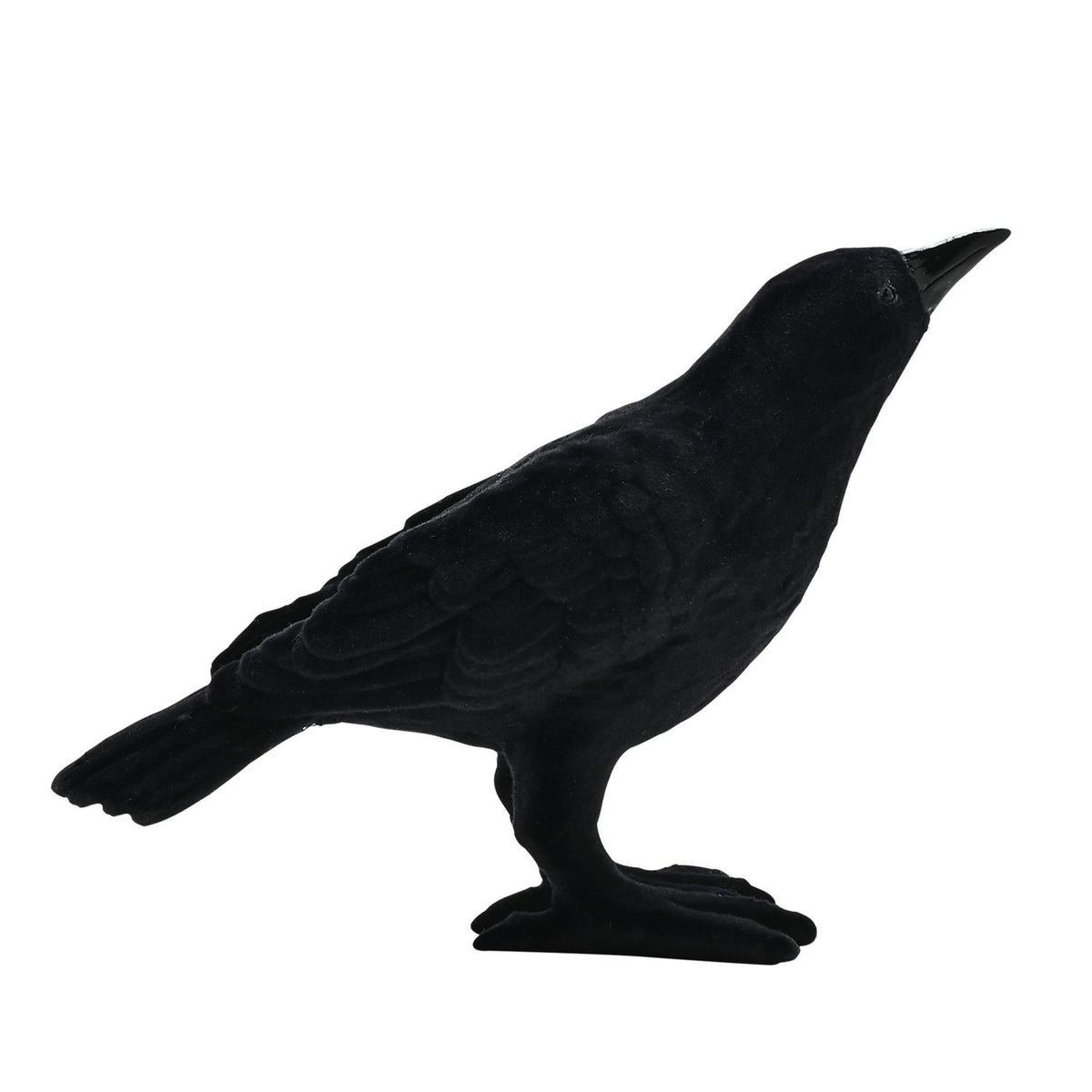 Halloween Freestanding Flocked Crow Resin Ornament - Black