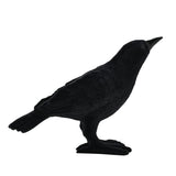 Halloween Freestanding Flocked Crow Resin Ornament - Black