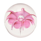 Round clear glass paperweight with a pink flower design, curled petal tips and a clear centre bead, set against a plain white background.