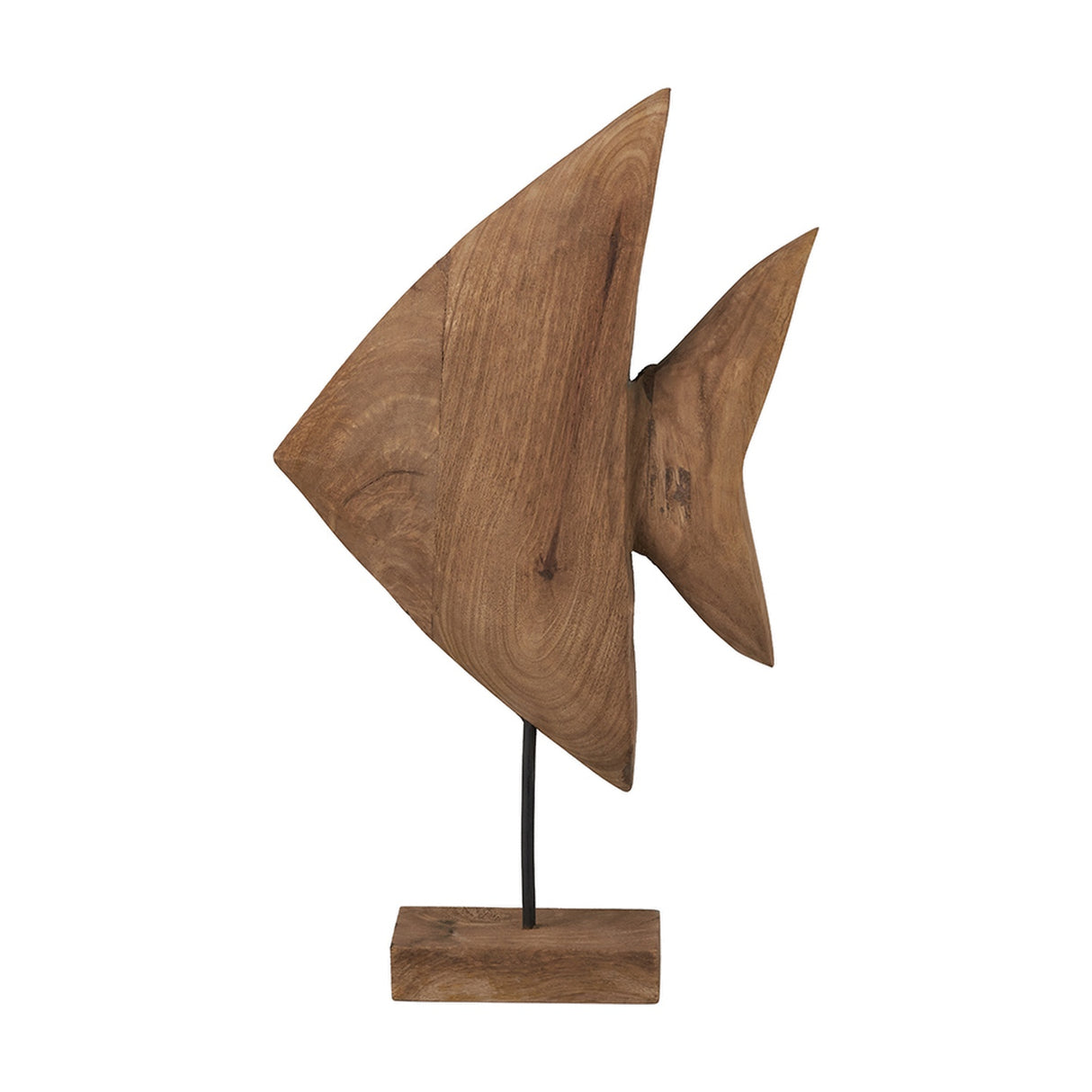 Natural Handcarved Mango Altum Angelfish Ornament - 51cm
