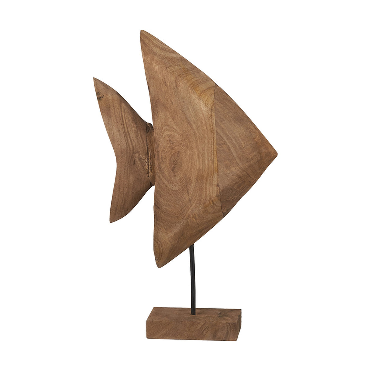 Natural Handcarved Mango Altum Angelfish Ornament - 51cm