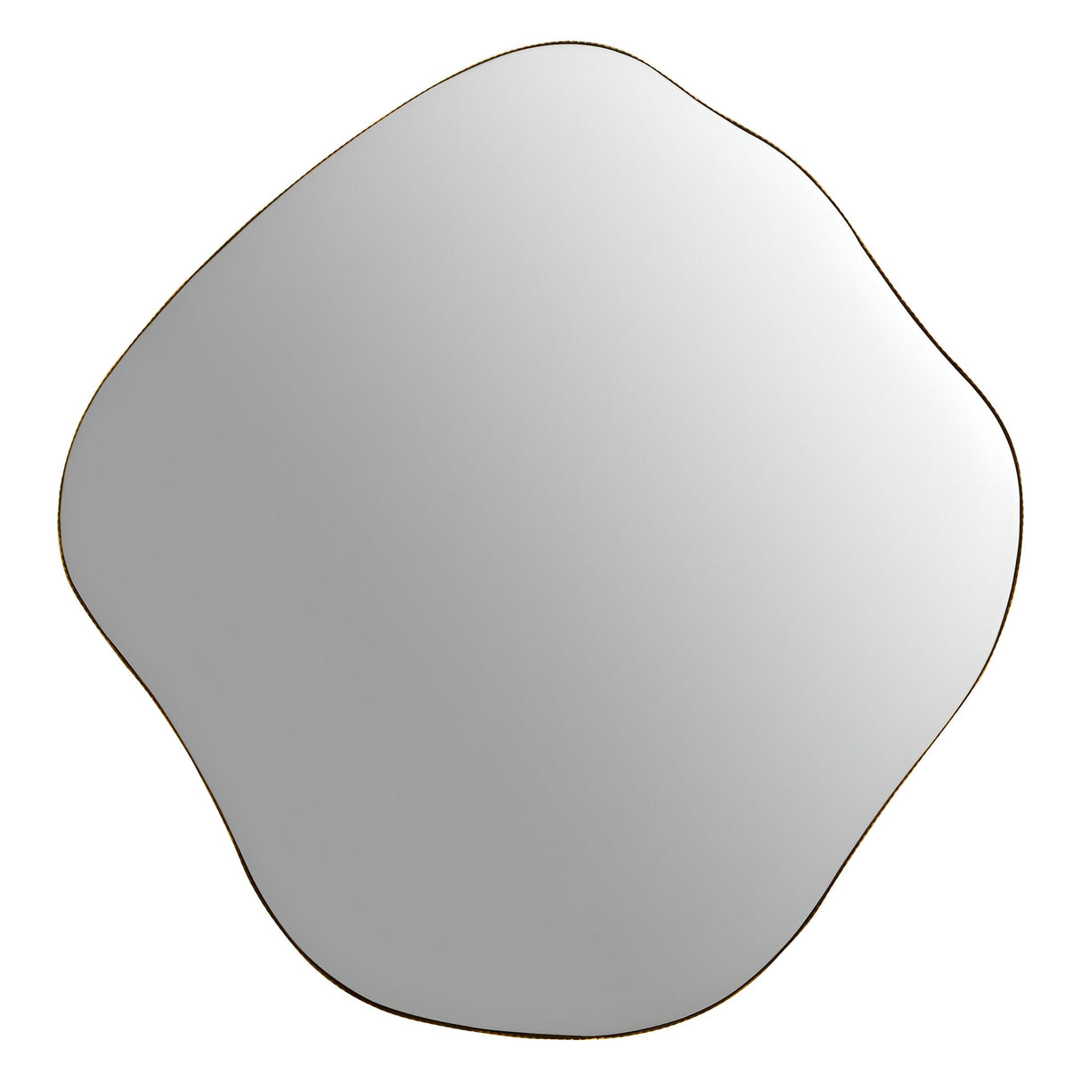 Organic Metal Framed Large Wall Mirror Aged Champagne - 97x101cm