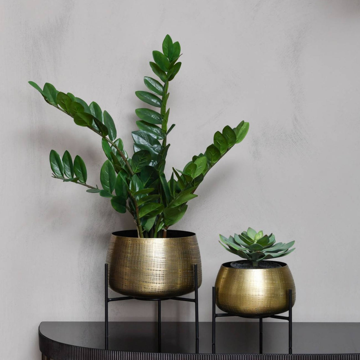 Libra Interiors Etched Brass Set of 2 Standing Planters holding a leafy plant and succulent on a dark console against a pale grey wall.