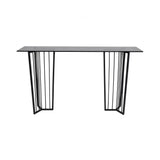 Abington Steel & Tinted Glass Console Table - Black