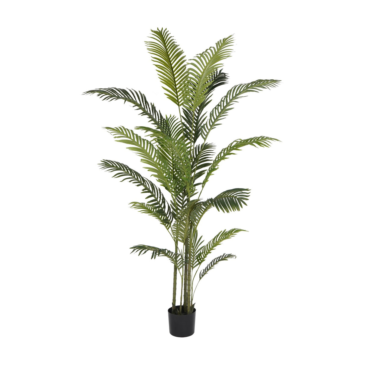 Libra Interiors Faux Areca Palm 6ft with arching green fronds on slender stems in a black plastic pot, shown against a plain white background.