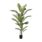 Libra Interiors Faux Areca Palm 6ft with arching green fronds on slender stems in a black plastic pot, shown against a plain white background.