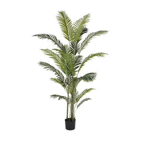 Libra Interiors Faux Areca Palm 6ft with arching green fronds on slender stems in a black plastic pot, shown against a plain white background.