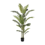 Libra Interiors Faux Areca Palm 6ft with multiple slender stems and arching green fronds in a black plastic pot on a plain white background.