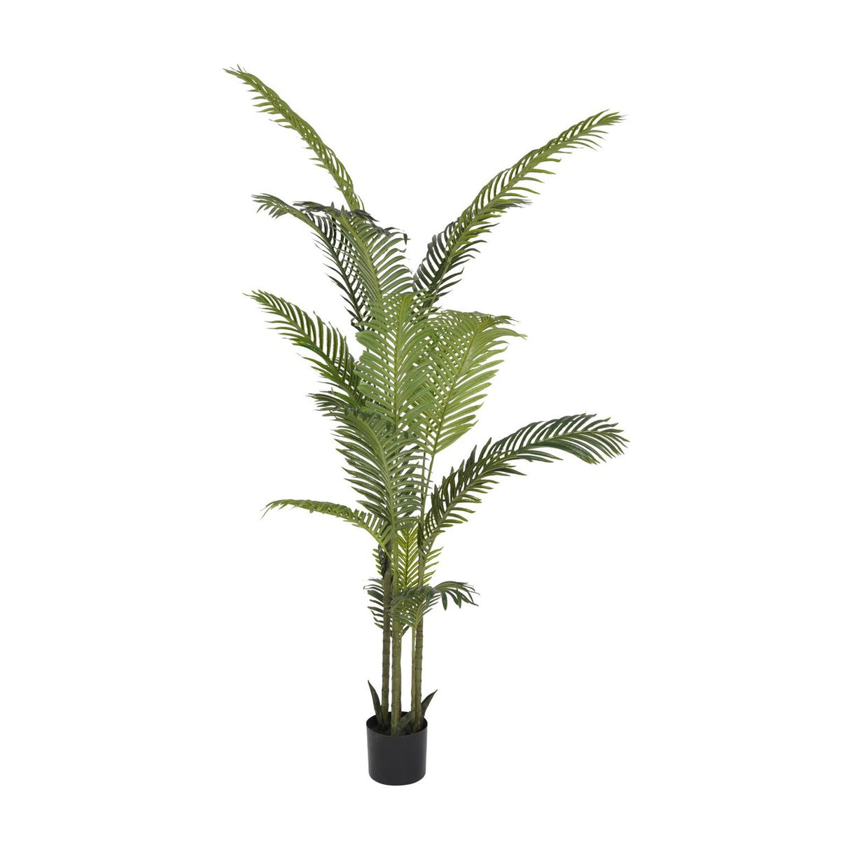 Libra Interiors Faux Areca Palm 6ft artificial tree with arching green fronds on slender stems in a black plastic pot, shown on a white background.