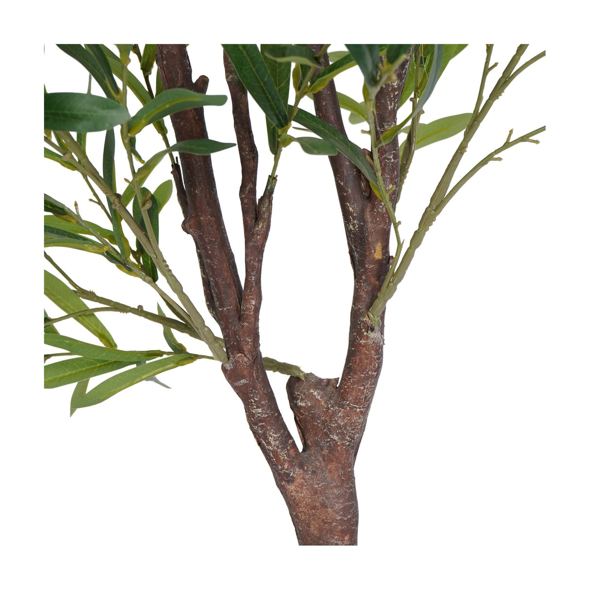 Close-up of the Libra Interiors Potted Mediterranean Olive 170cm faux tree, showing the moulded bark-effect trunk branching out with slim green leaves.