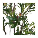 Close-up of Libra Interiors Potted Mediterranean Olive 170cm artificial tree, showing slim green leaves and ripening russet olives on wired branches.