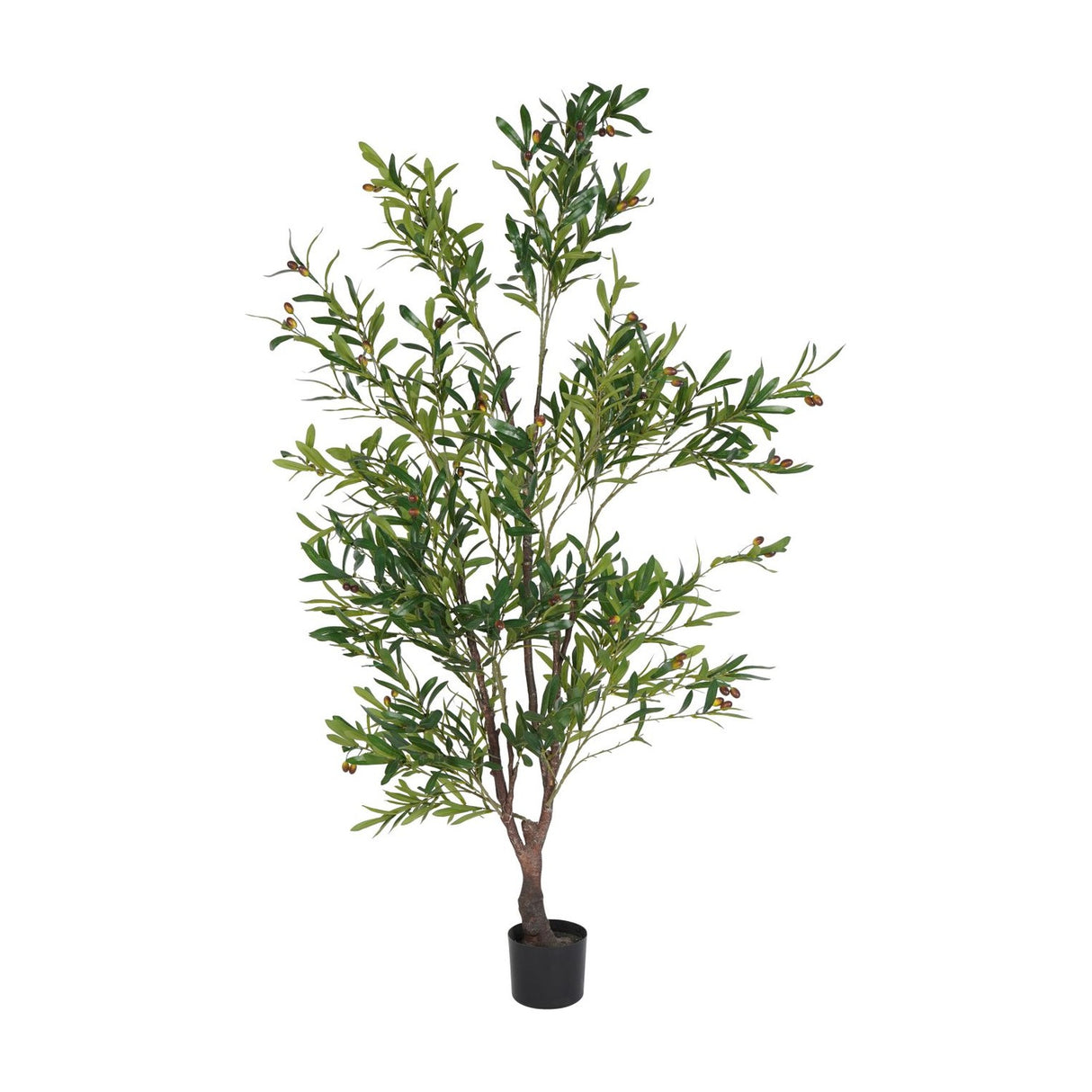 Libra Interiors Potted Mediterranean Olive 170cm artificial tree with slim green leaves, ripening olives and a bark-effect trunk in a black nursery pot.