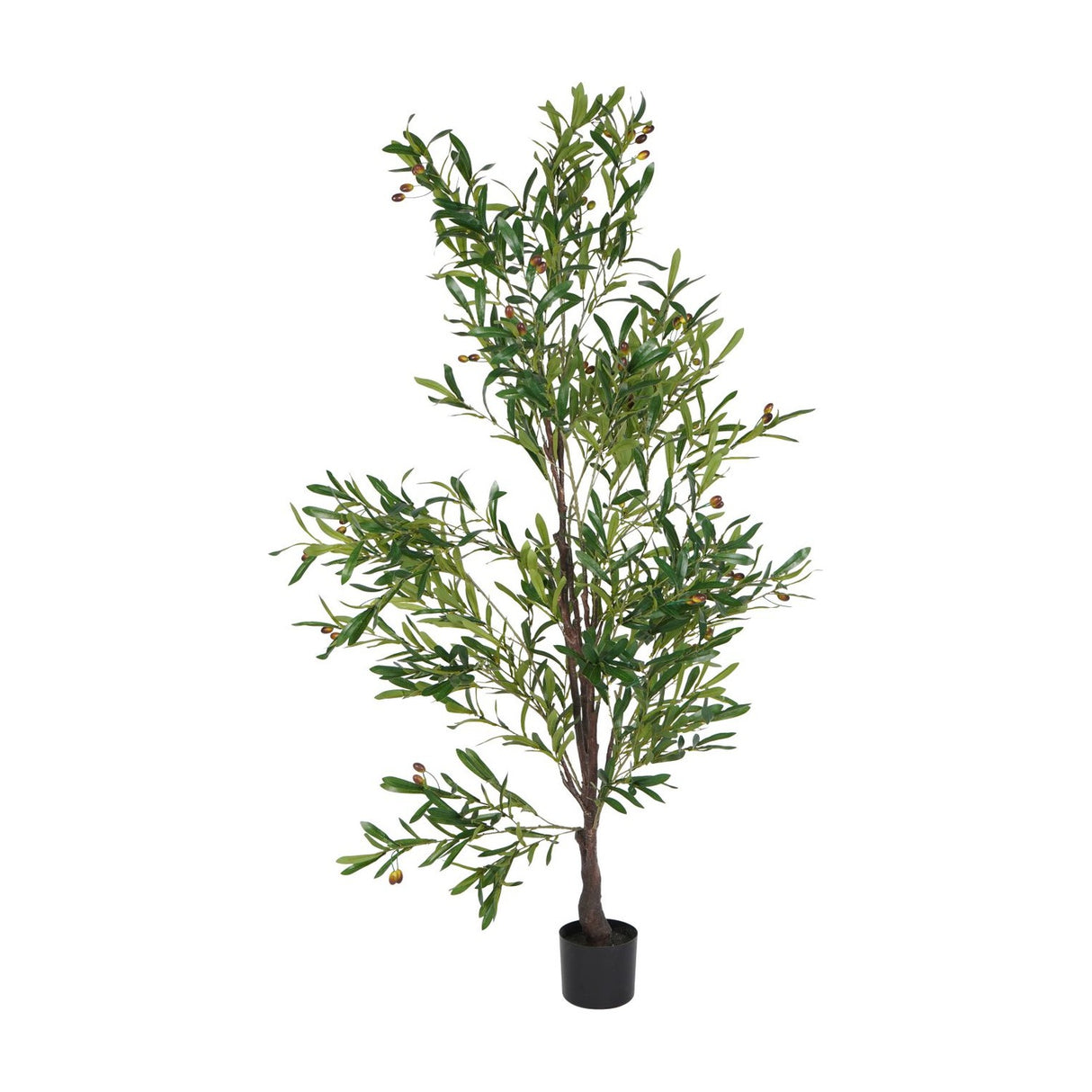 Libra Interiors Potted Mediterranean Olive 170cm artificial tree with slim green leaves, ripening olives and bark-effect trunk in a black nursery pot.