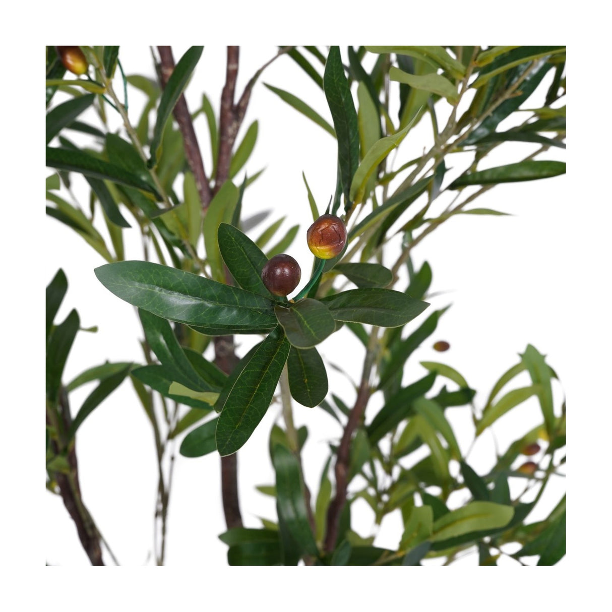 Close-up of Libra Interiors Potted Mediterranean Olive 170cm faux tree showing slim green leaves and ripening russet olives on wired branches.