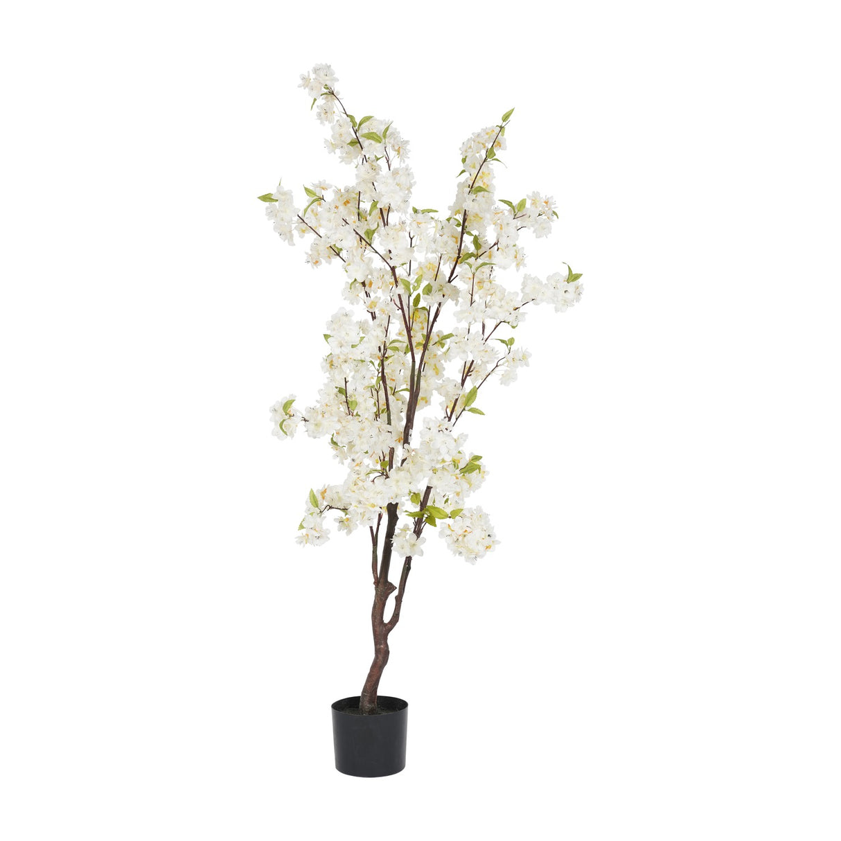 Libra Interiors potted white blossom artificial cherry tree with slim brown trunk, arching branches and green leaves in a black plastic pot.