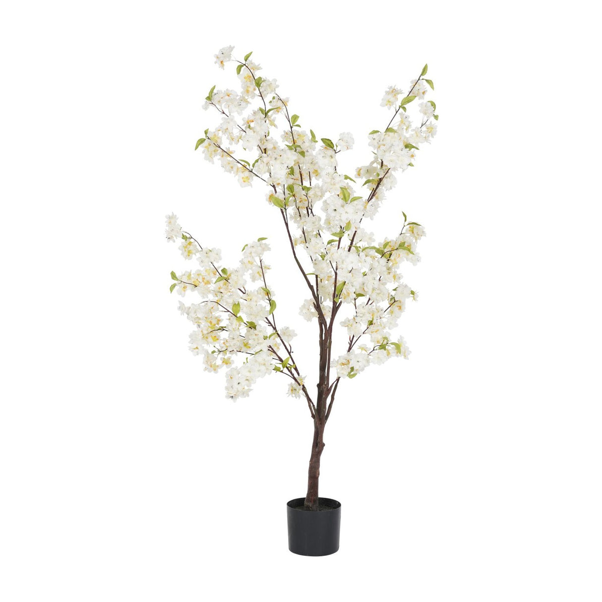 Libra Interiors Potted White Blossom Cherry artificial tree with slim brown trunk, arching branches of white blooms and green leaves in a black pot.
