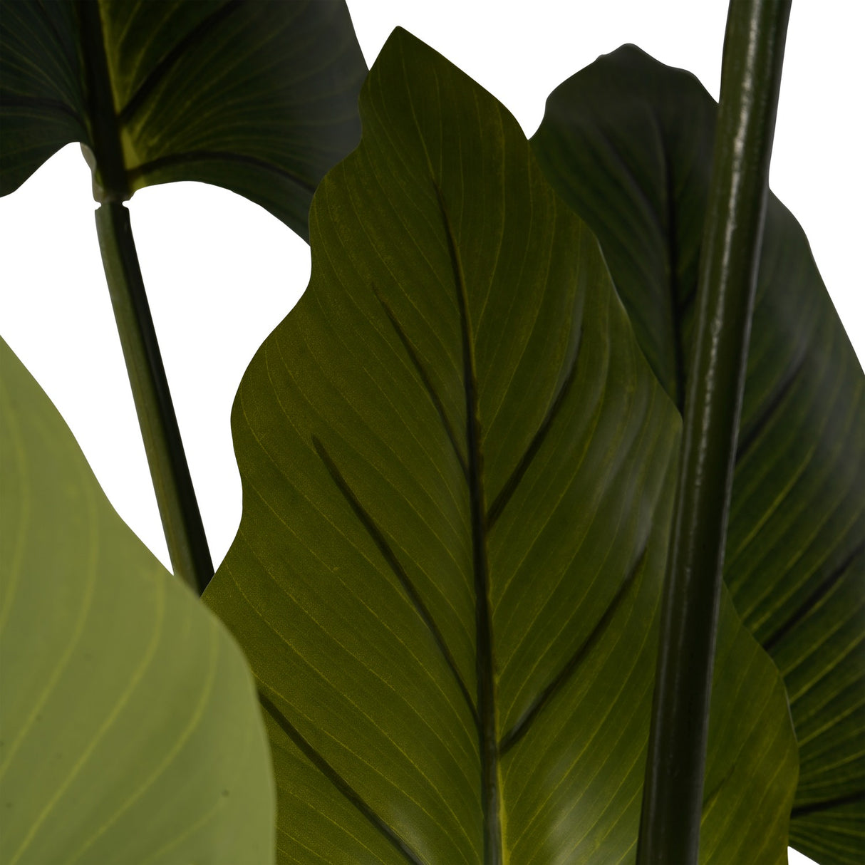 Close-up of Libra Interiors Tall Faux Foliage Giant Tora artificial plant, showing broad green polyethylene leaves with central veins on slender stems.