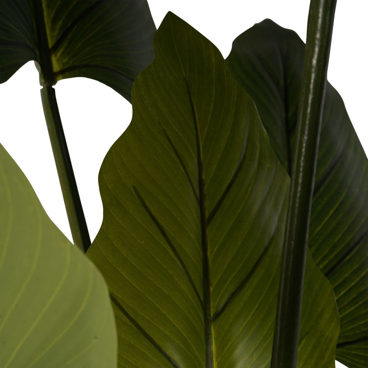 Close-up of Libra Interiors Tall Faux Foliage Giant Tora artificial plant showing broad green polyethylene leaves with central veins on slender stems.