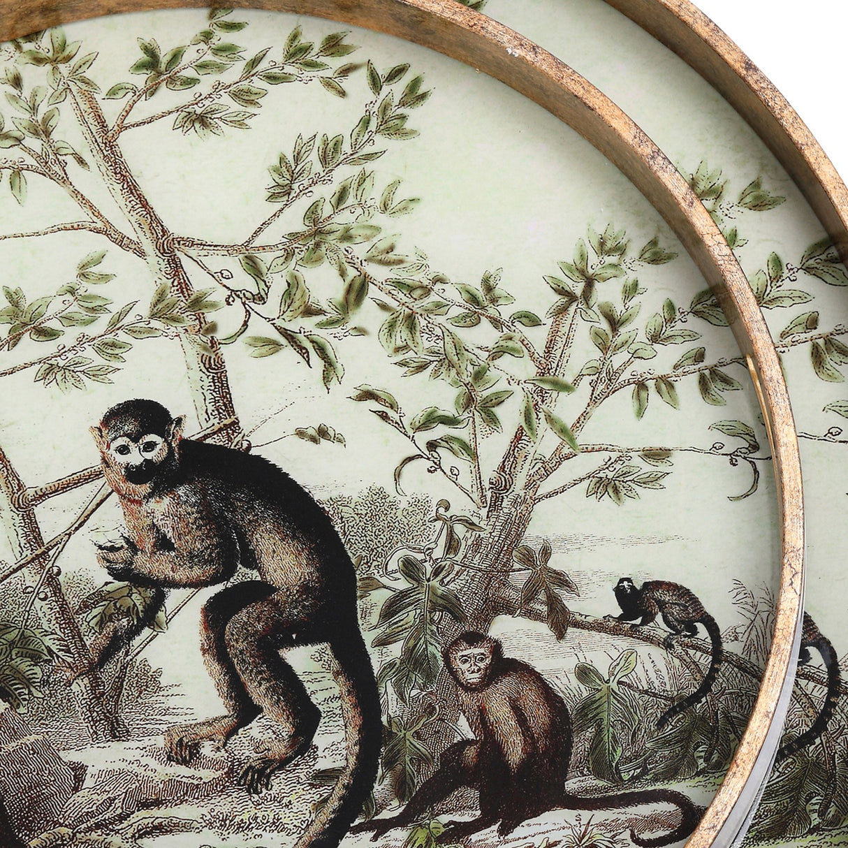 Close-up of Libra Interiors Round Glass Monkey Jungle serving tray in gold, showing the printed monkeys among leafy branches behind glass with antiqued frame.