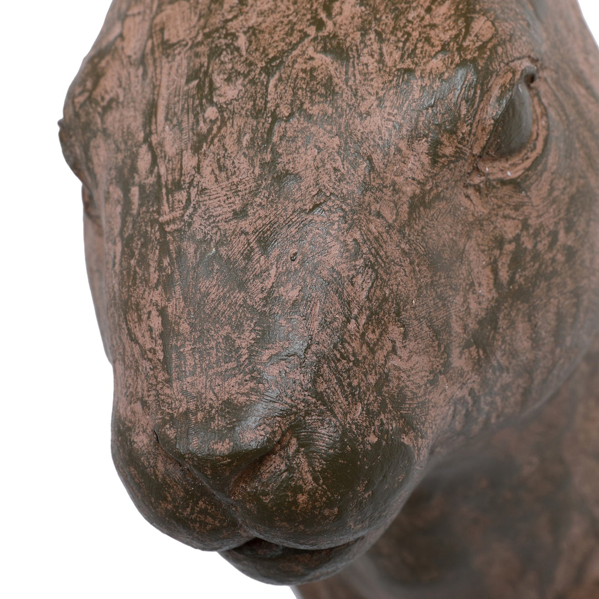 Close-up of Libra Interiors Rustic Weathered Hare Head Wall Art in brown, showing the textured resin muzzle and eye detail in a warm weathered finish.
