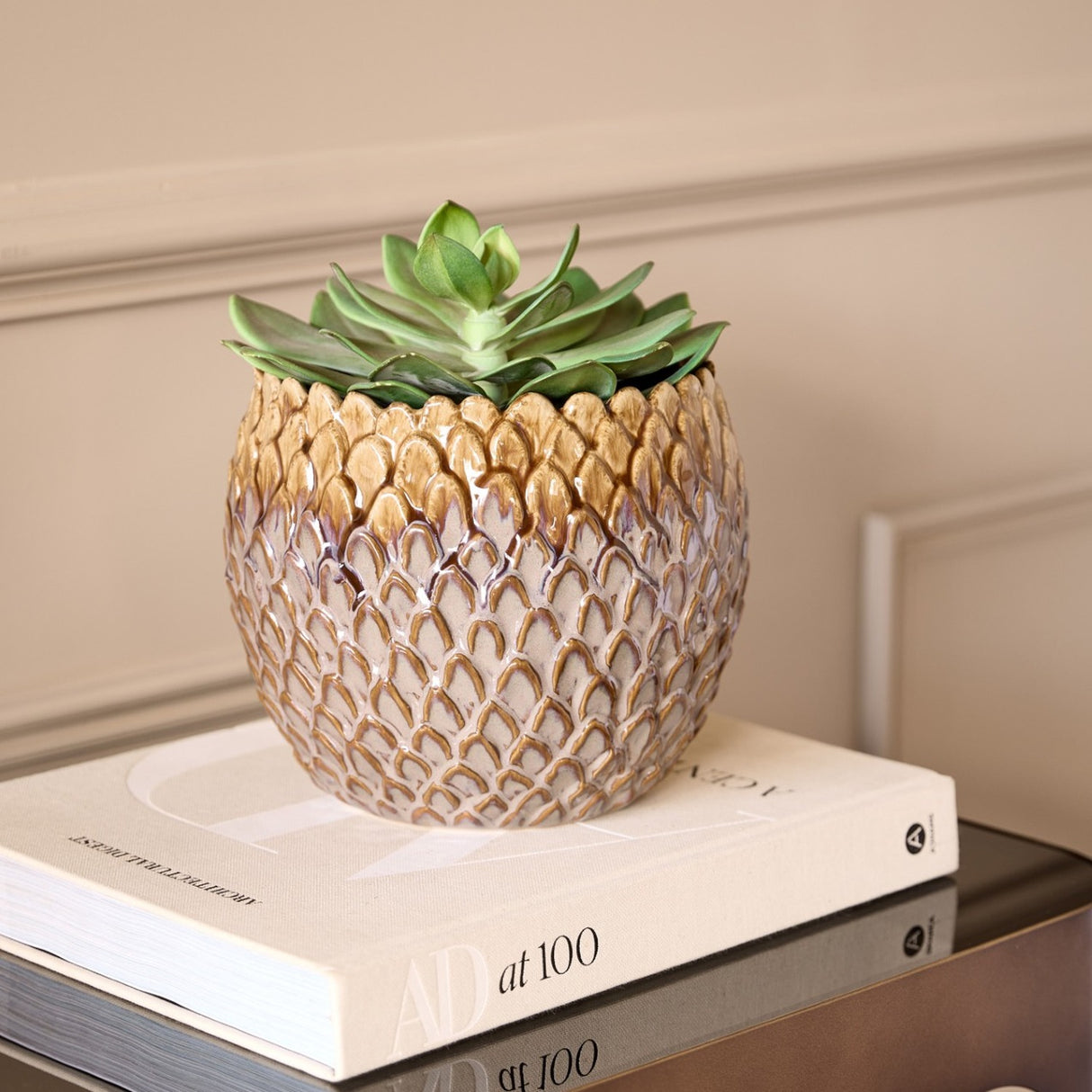 Libra Interiors scale-textured ceramic planter in brown holding a green succulent, displayed on a stack of white books against a neutral panelled wall.