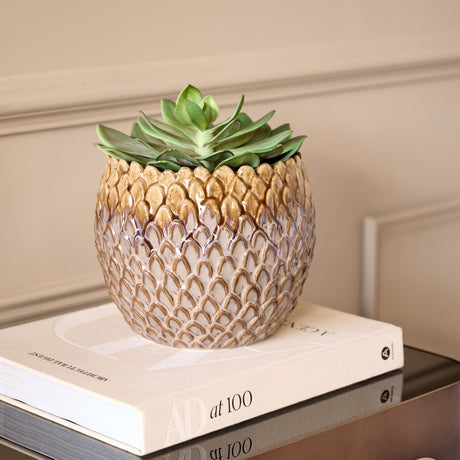 Libra Interiors scale-textured ceramic planter in brown holding a green succulent, displayed on a stack of white books against a neutral panelled wall.