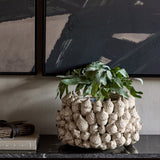 Libra Interiors Textured Acorn ceramic planter in cream, holding a leafy green plant on a dark console table beneath abstract black artwork.