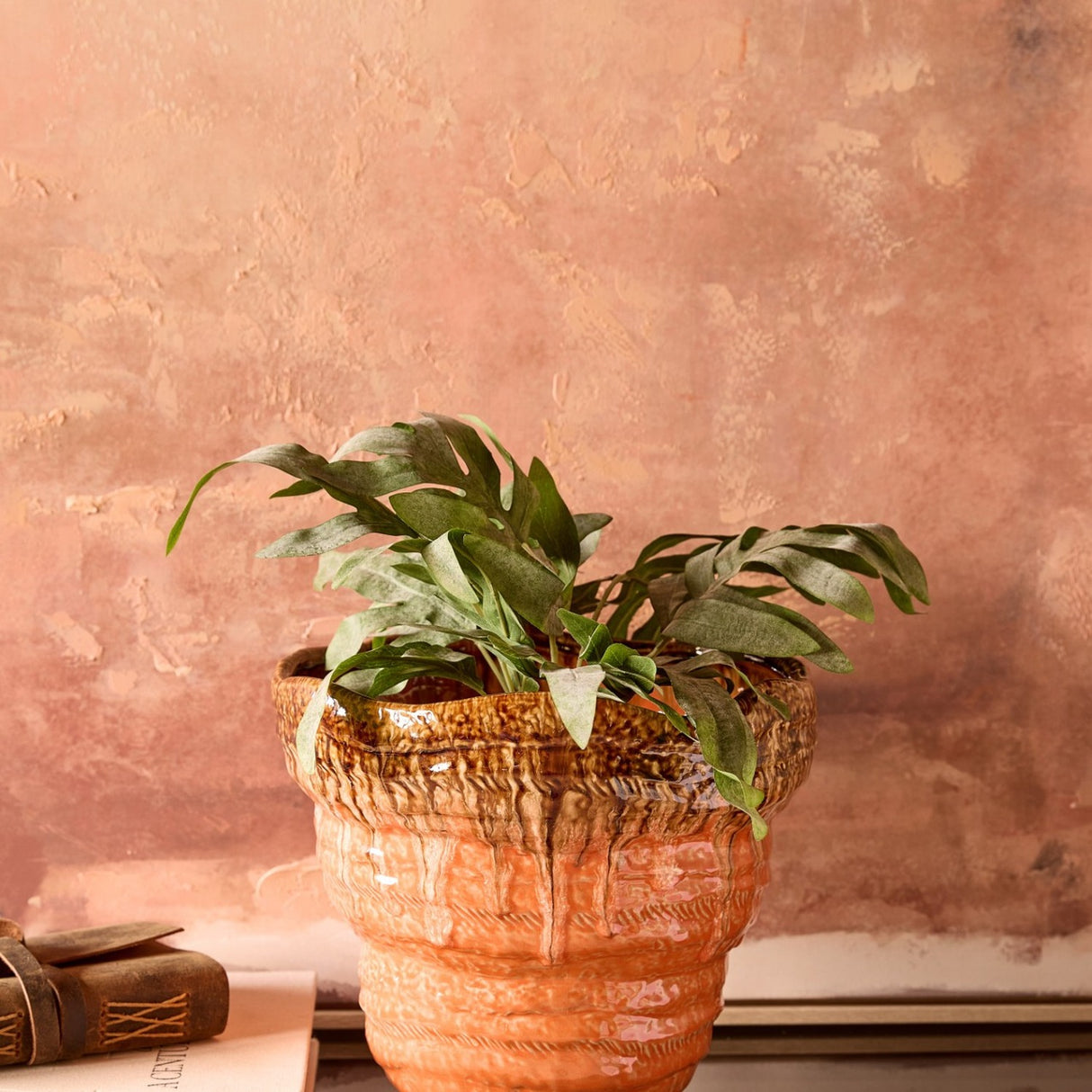 Libra Interiors Reactive Glaze Ceramic Planter in orange with brown drip glaze rim, holding a leafy fern against a warm terracotta plaster wall.