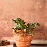 Libra Interiors Reactive Glaze Ceramic Planter in orange with brown drip glaze rim, holding a leafy fern against a warm terracotta plaster wall.