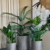 Libra Interiors Corrugated Iron Ridged Floor Planters in champagne gold, three ridged cylindrical sizes holding tall palms and leafy plants in a neutral room.