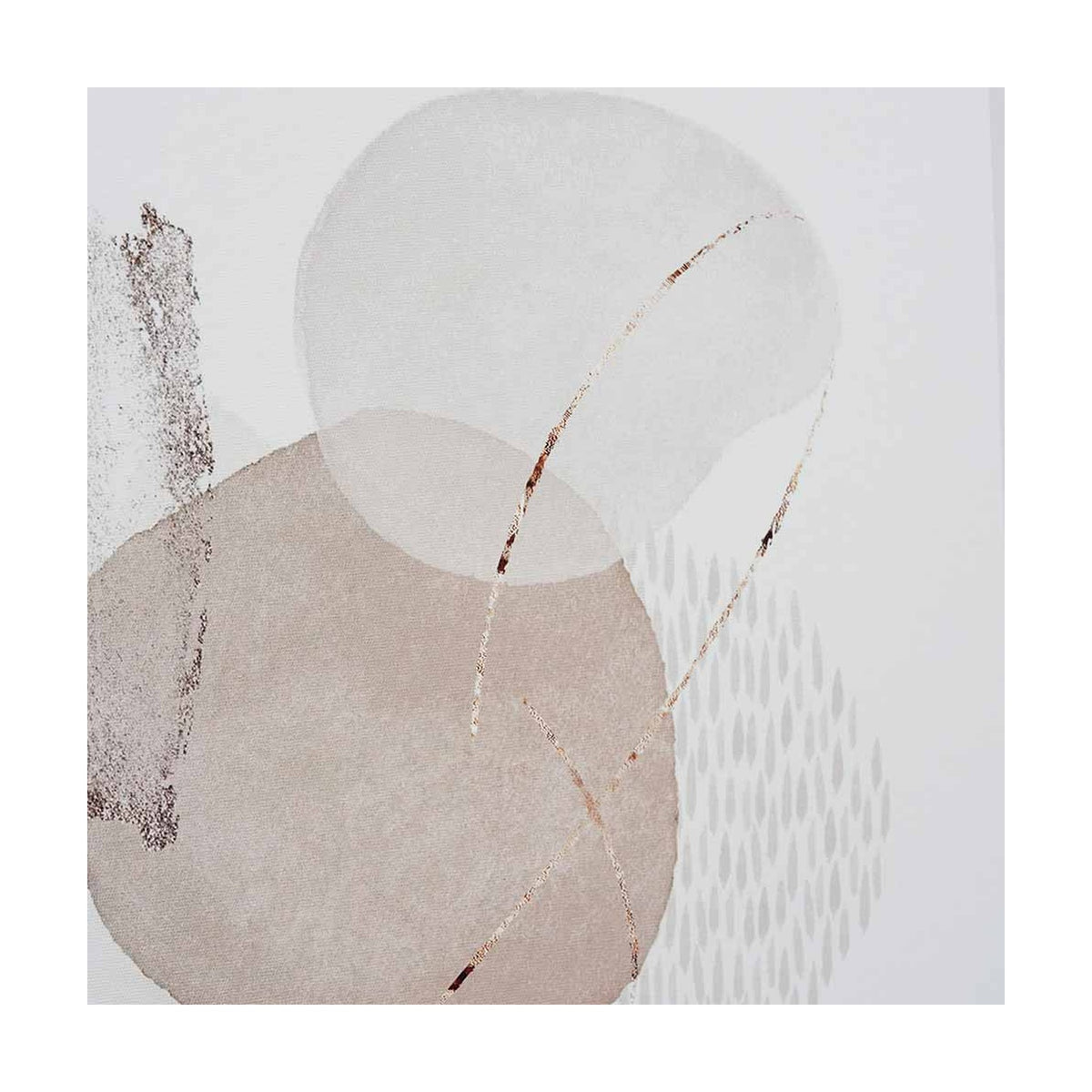Framed canvas wall art in natural tones, featuring overlapping circular shapes in blush and grey with fine metallic line details, set against a plain light background.