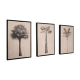 Set of 3 black-framed canvas wall art prints featuring palm tree illustrations in black on natural fabric, shown at an angle against a plain white background.